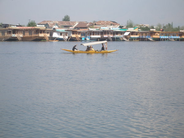 Shikaras on the Dal Lake