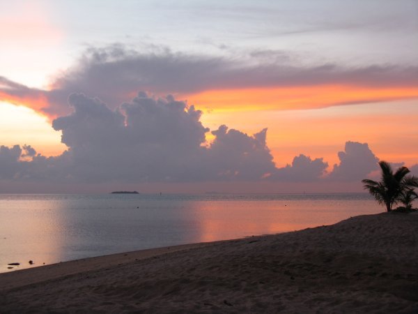 Sunrise Turtle Island