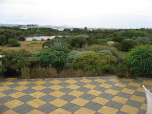 Servas host's native garden