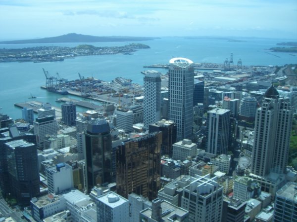View of Auckalnd from the top
