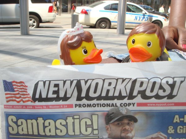 Mr & Mrs Duck in NY