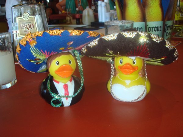 Mr & Mrs Duck with sombreros
