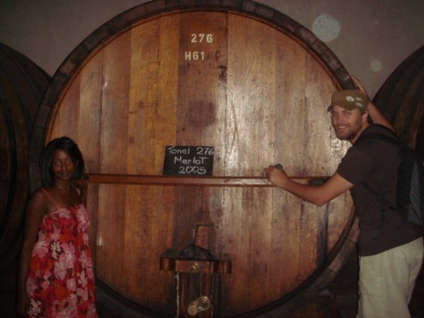 Wine tasting in Mendoza..