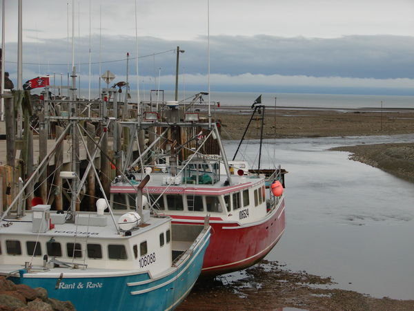 Low tide at Fundy