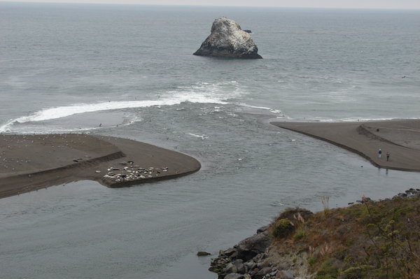 The Russian River emptying into the ocean