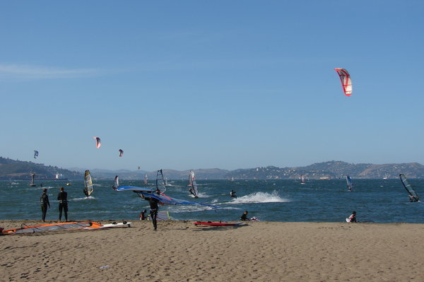 Wind & kite surfers in San Francisco Bay