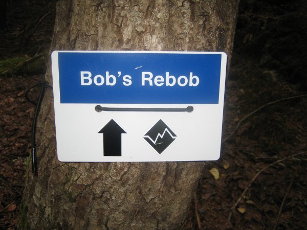 Bob's Rebob