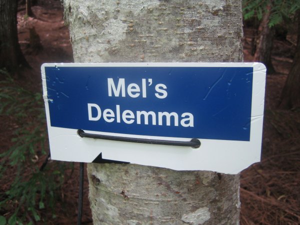 Mel's Delemma