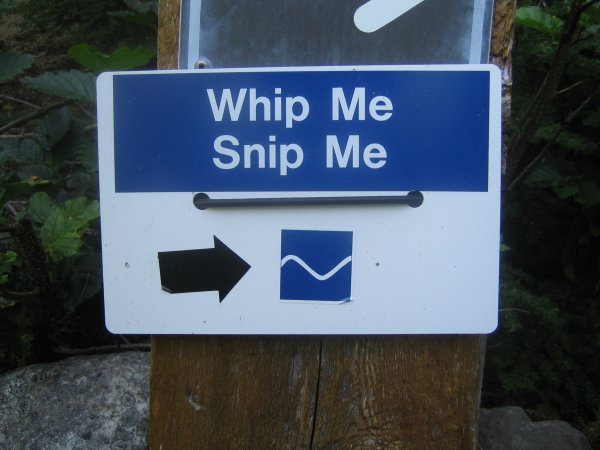 Whip Me Snip Me