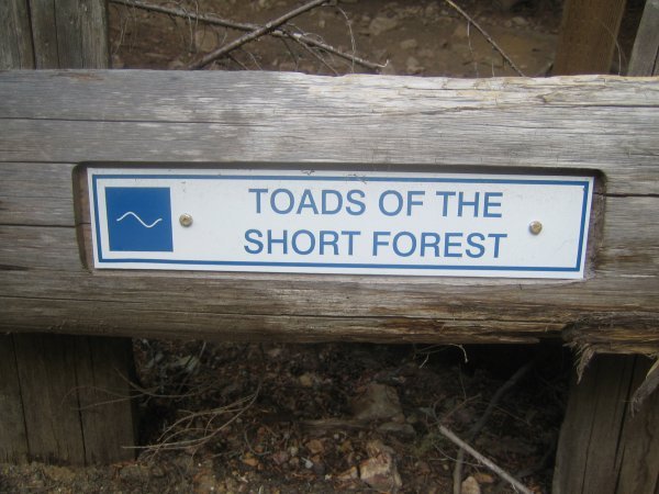 Toads of the short forest...