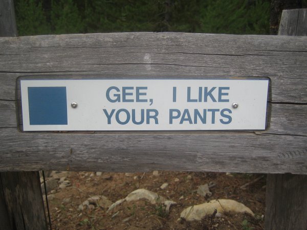 Gee I like your pants