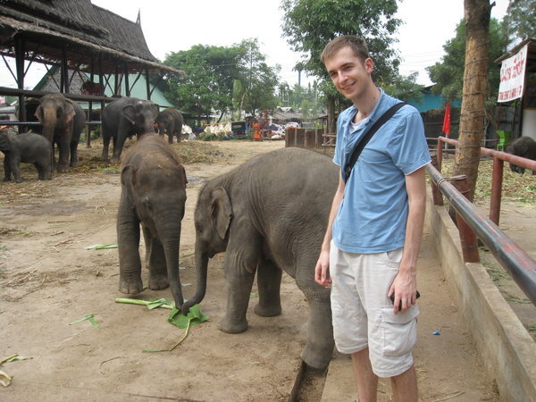 David With Some Elephants (David Is The One On The Right)