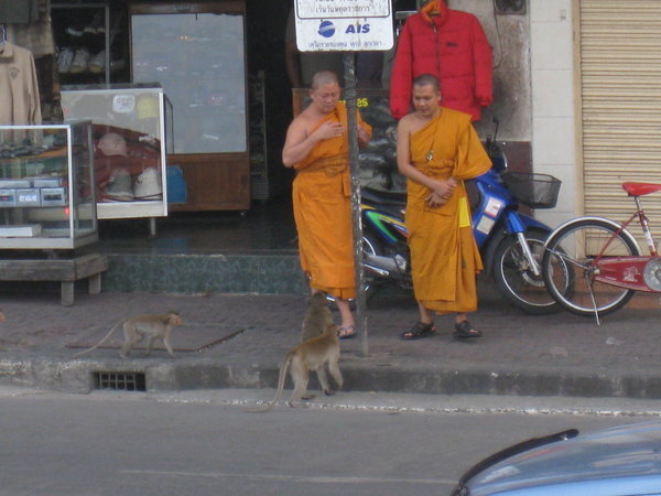 Monks And Monkeys
