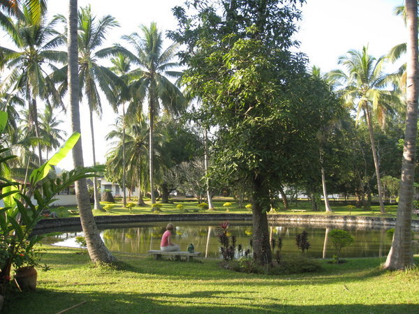 The Grounds Of The Museum