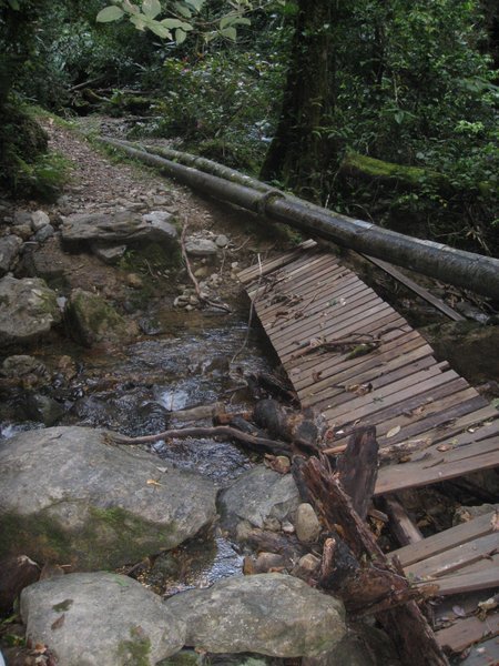 The Mount Kinabalu Walk Had Seen Better Days