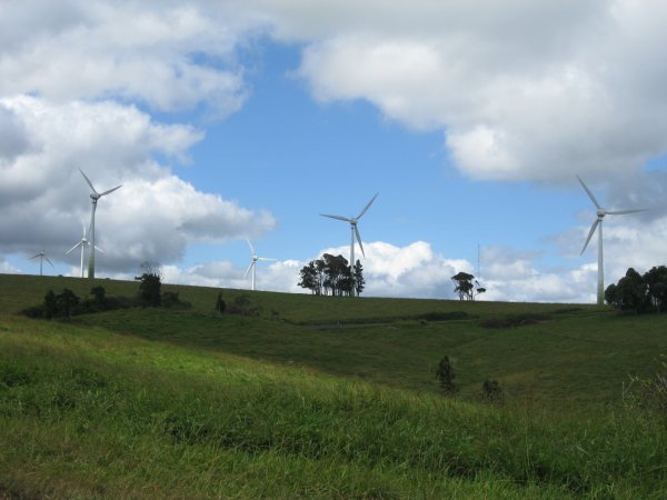 Now this is a wind farm. Bet you wanna come to Australia even more don't you?