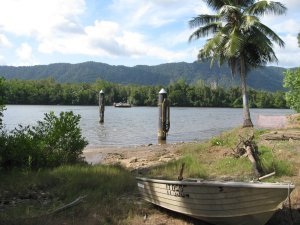 The Ferry To Cape Tribulation