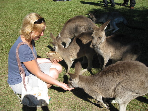 Helen Busy Feeding The Kangaroos