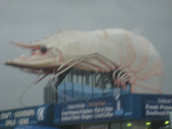 ...Such As This Giant Prawn..