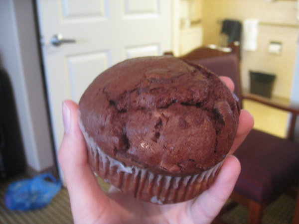 A Muffin. The Size Of My Hand. Welcome To The USA!