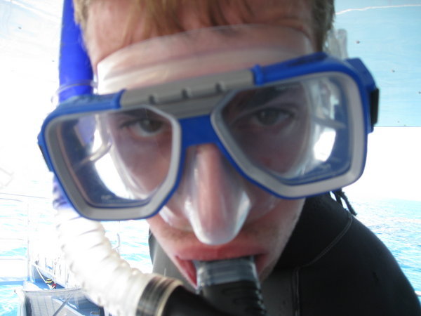 Great Barrier Reef - Surely Some Of The Best Snorkelling In The World!