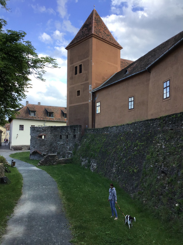 Castle and wall