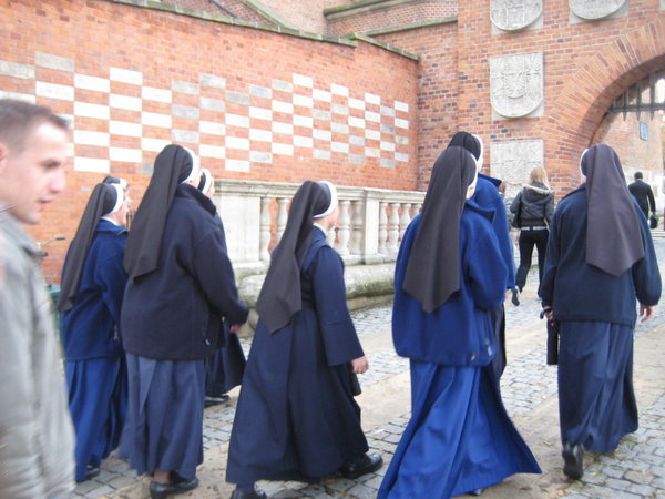 Blue nuns