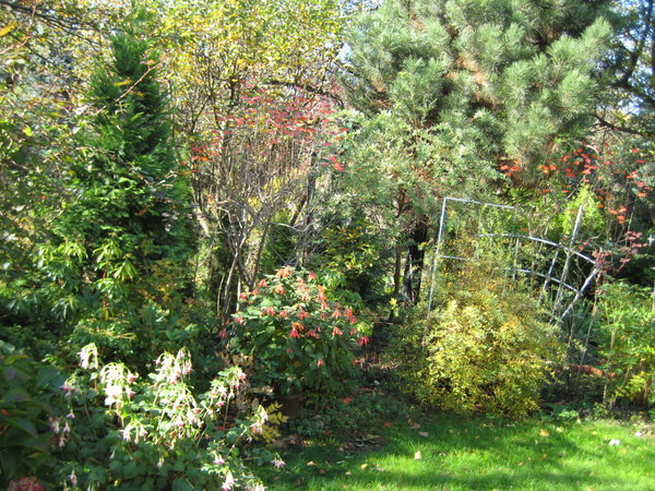 Garden in Gorlice