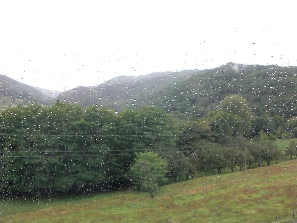 Rain 