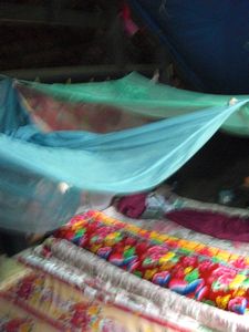 the misquito nets