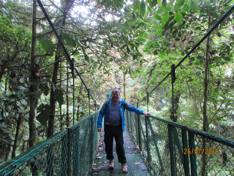 hanging bridge in cloud forest
