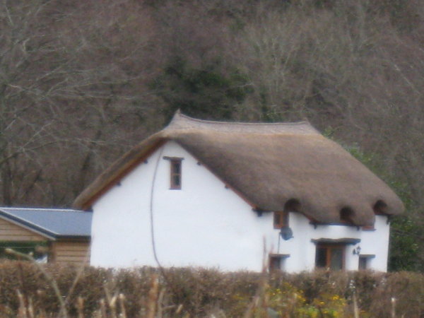 A thatched roof - don't see that often back in the land of Oz