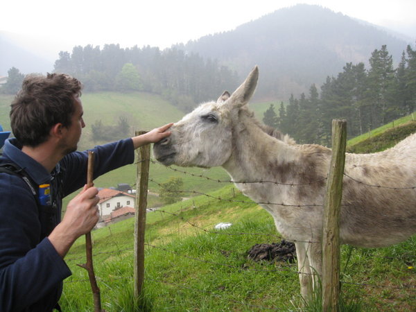 Dav meets a donkey on the way up to the monestary