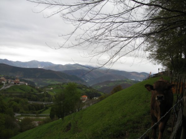 Walking up and out of Tineo
