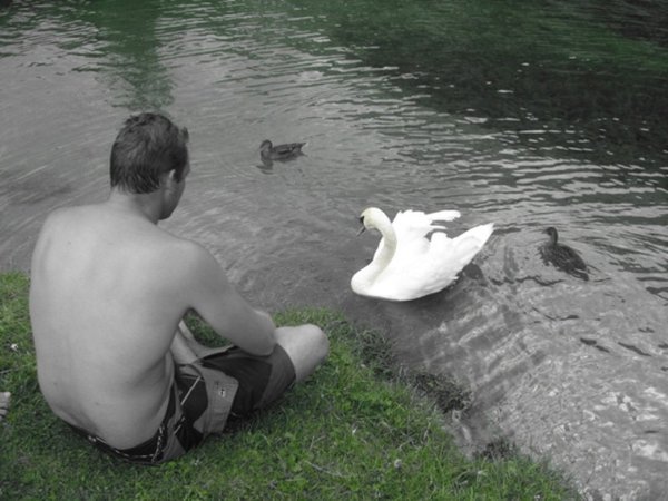 Craig getting friendly with a swan