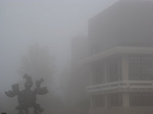 Foggy Bibliothek