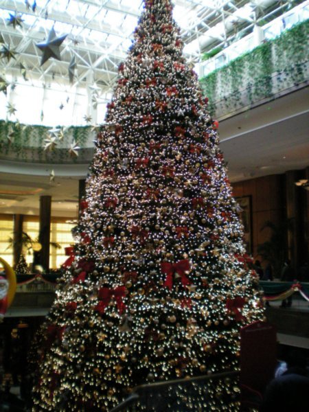 The Huge Hilton Christmas Tree