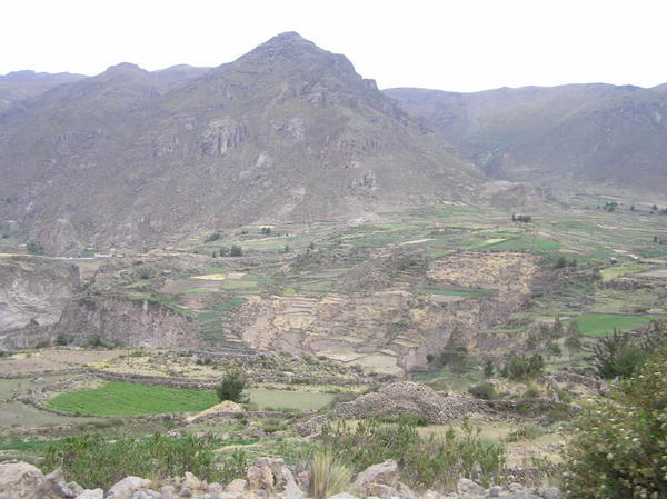 Ancient land terraces outside Chivay