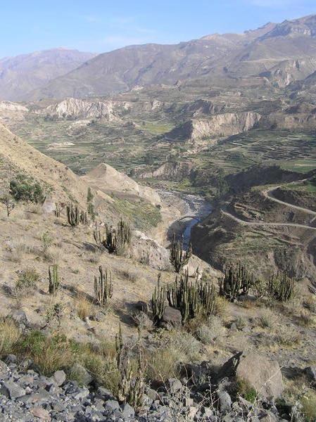 The awesome Colca valley - the terracing dates back to the Incas