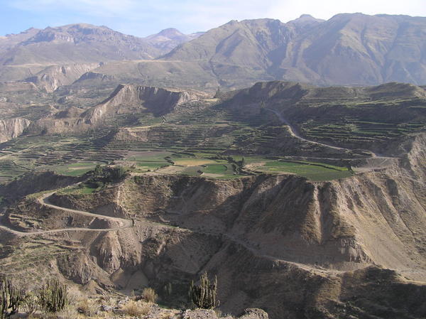 Again Colca valley - very early in the morning