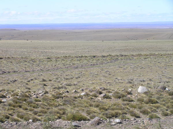 The plains of Argentinian Patagonia