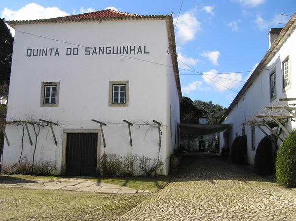 The Quinta do Sanguinhal where we took our wine tour
