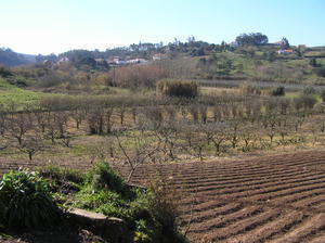 The Portuguese winter countryside - their farmhouse is amongst the white buildings 
