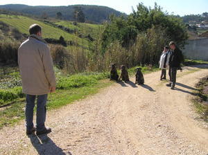 Robert telling his three 4-legged girls to sit and wait.  Sue & Dave watching from sidelines.