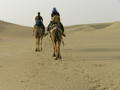Riding out into the desert on our Camel Safari