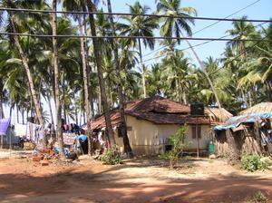 Local Goan house set amongst palms