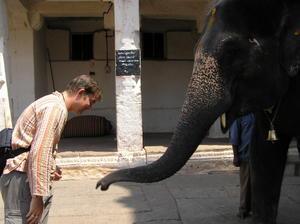 Dave bending his head so Lakshmi the elephant can bless him