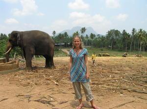 Bronia in her element ! - surrounded by elephants!