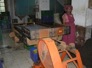 Tea Plantation - Step 3 - Tea leaves sifted into various grades by this old machine left by the Brits