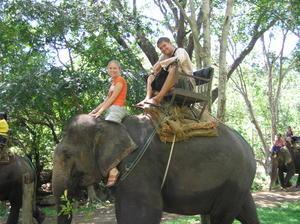 Riding an elephant through the jungle